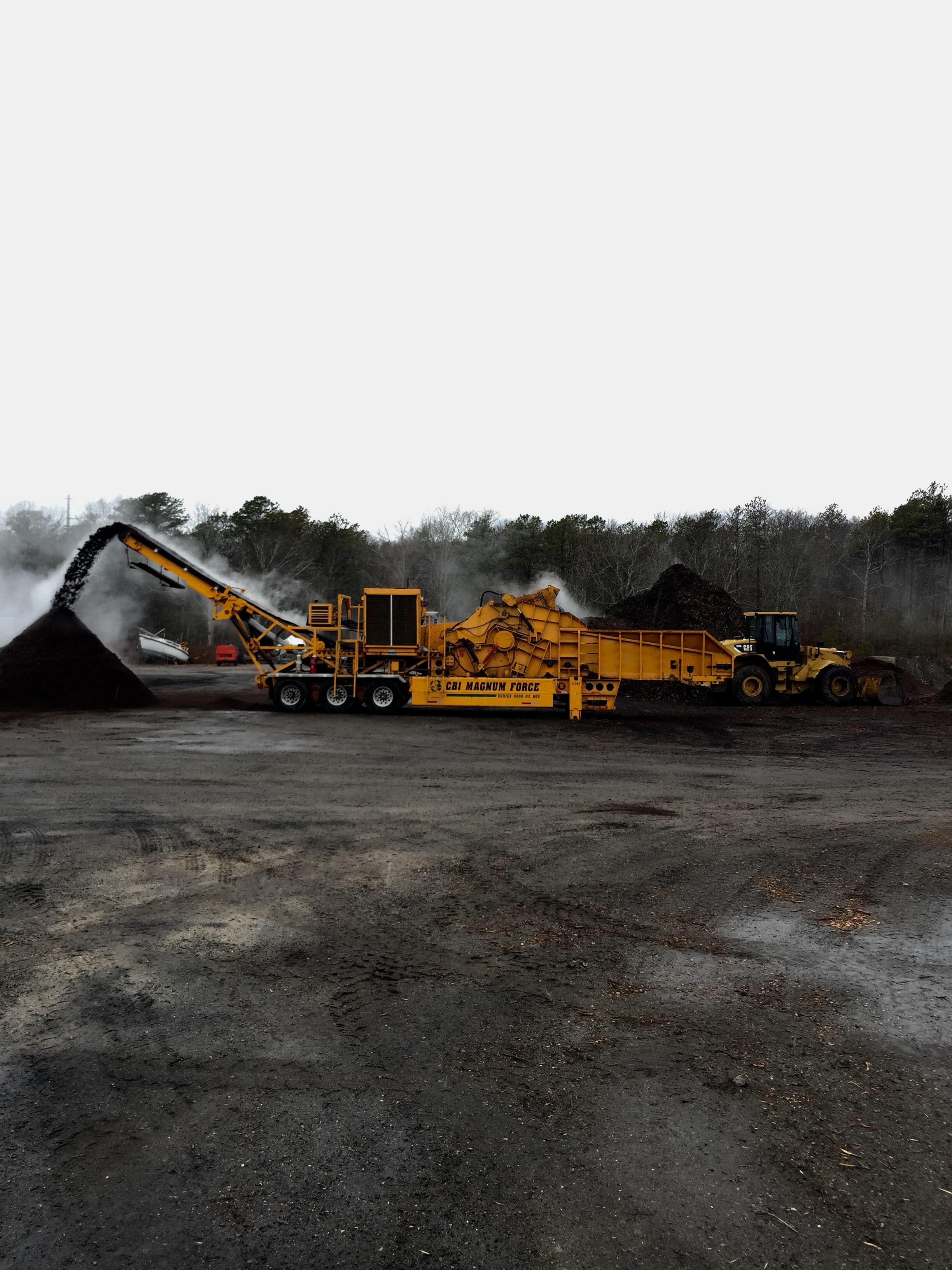 Yellow industrial wood grinder discharging steaming mulch onto a large pile in a yard.